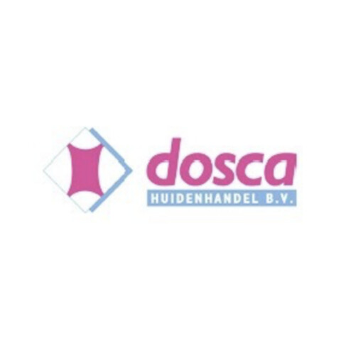 Dosca logo IH