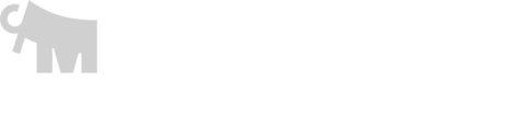Mammoet road cargo